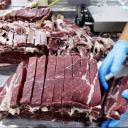 Alta nos preços? Exportação de carne do Brasil bate recorde em 2019