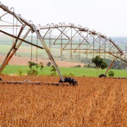Brasil assina acordo de cooperação agrícola com a Alemanha