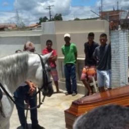 Cavalo acompanha sepultamento do seu dono em Jaguaqara e emociona familiares