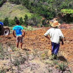 Ações da Prefeitura impulsionam agricultura familiar em Piraí do Norte