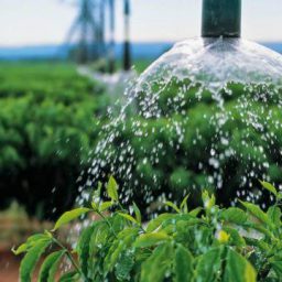 Estabelecimentos com uso de agricultura irrigada crescem em mais de 50% em 11 anos