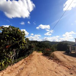 Piraí do Norte: Prefeitura inicia patrolamento das estradas na região do Braço do Norte