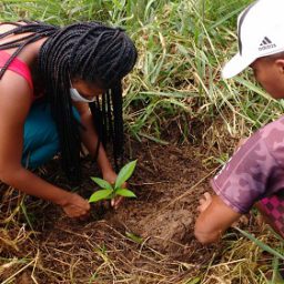 Ipiaú: MST inicia plantio de árvores às margens do Rio Água Branca