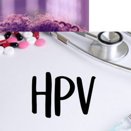 HPV: saiba mais sobre esta Infecção Sexualmente Transmissível (IST)¹