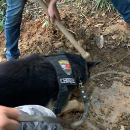 PM-BA descobre bunker com fuzil AR-15 e metralhadora em bairro da capital