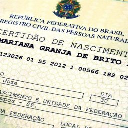 Oito estados renovam compromisso pelo fim do sub-registro e ampliação do acesso à documentação básica