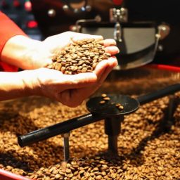 Lavouras de café faturaram R$ 34,04 bilhões em 2020