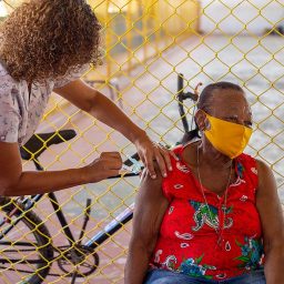 Brasil tem 29,21% da população vacinada com a 1ª dose contra a covid-19