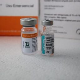 Bahia receberá 494.470 doses de vacina contra o coronavírus neste sábado (31)