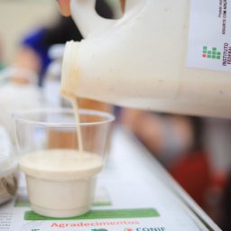 Novo tipo de iogurte à base de cogumelo é criado na Bahia