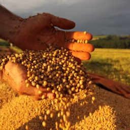 Bahia segue com produção recorde de 10,46 milhões de toneladas de grãos em 2021