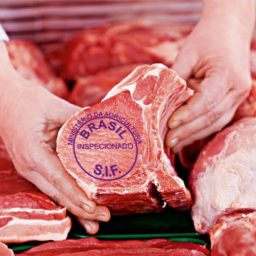 Embarques de carne bovina tem aumento de 26,44% em junho/23, enquanto preço médio apresentou queda