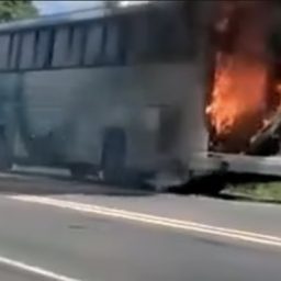 Ônibus da Camurujipe pega fogo na BR-101