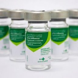 Butantan vai produzir vacina atualizada contra gripe H3N2 em janeiro