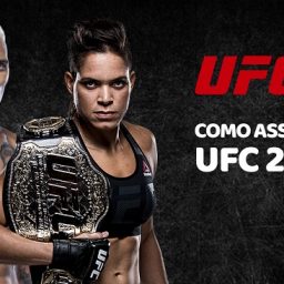 UFC 269: Do Bronx e Amanda defendem títulos em noite com oito brasileiros no card