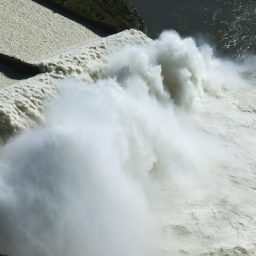 Diretor-geral de Itaipu Binacional, general Ferreira pede exoneração