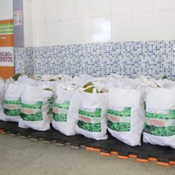 Governo da Bahia beneficia mais de 535 mil famílias com entrega de alimentos durante a pandemia