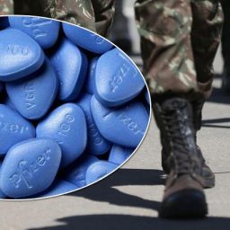 TCU vai apurar superfaturamento na compra de 35 mil unidades de Viagra pelas Forças Armadas