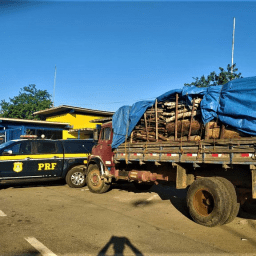 PRF apreende madeira nativa transportada ilegalmente na BR-330 em Jequié
