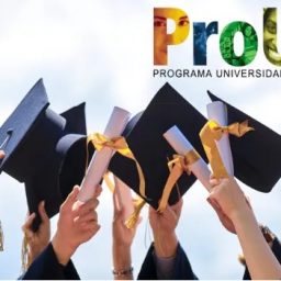 <strong>Mais de 30 mil bolsas do ProUni foram concedidas a estudantes do estado da Bahia em 2022</strong>