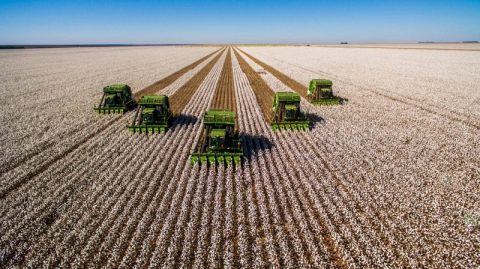 Bahia tem oito das 100 cidades mais ricos do agronegócio em 2023; veja lista