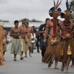 Indígenas Pataxó denunciam cerco de pistoleiros no sul da Bahia