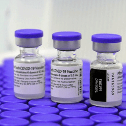 Anvisa aprova vacina da Pfizer para crianças de 6 meses e 4 anos