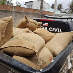 780 kg de café em grãos furtados são recuperados no extremo sul da Bahia; dois homens foram presos