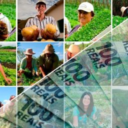 <strong>Banco do Nordeste financia projeto que levará irrigação a mais de 600 produtores rurais na Bahia</strong>
