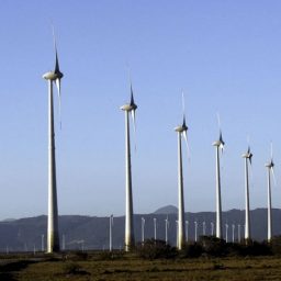 Brasil usará COP27 para atrair investimentos em energia verde