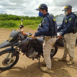 Brasil tem 64 roubos ou furtos de carros e motos por hora, diz IBGE 