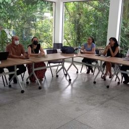Delegação do Paraguai realiza visita para conhecer experiência do Bahia Produtiva