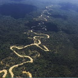 Forças Armadas no governo Bolsonaro deixaram de agir na terra yanomami em sete ocasiões