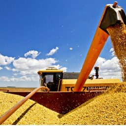 Soja responde por 53% das exportações do Agro da Bahia em 2022