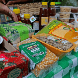 Governo do Estado garante R$ 50 milhões na compra de produtos da agricultura familiar para a alimentação escolar na Bahia