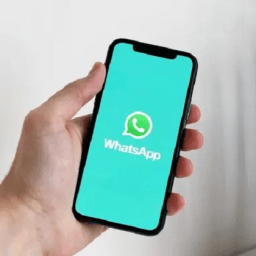 WhatsApp permitirá que uma conta seja usada em até 4 celulares