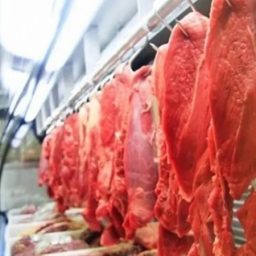 Aumento de 3,9% na produção de carnes deve manter preços baixos, diz Conab