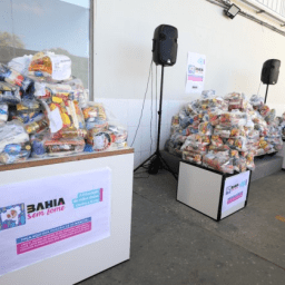 SEC arrecada mais de 90 toneladas de alimentos para a campanha Bahia Sem Fome
