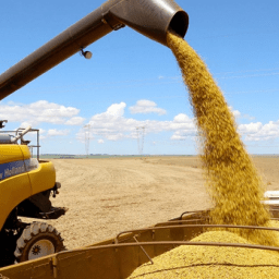 Agro representa metade das exportações brasileiras no primeiro quadrimestre