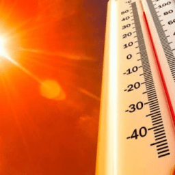 Mais de 61 mil pessoas morreram de calor na Europa no verão de 2022, diz estudo