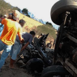 Acidente entre carro e caminhão deixa quatro mortos na BR-116