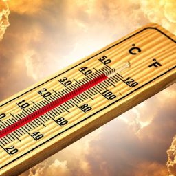 Calor sufocante pelo Brasil: veja ranking com temperatura esperada em 15 capitais