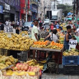 Programa Bahia Sem Fome elabora estratégias para combater o desperdício de alimentos na Bahia