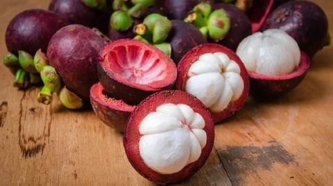 Plantado na Bahia, Mangostão desbanca jabuticaba e é eleita melhor fruta do mundo
