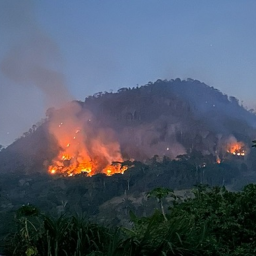 Incêndio de grande proporção atinge área de vegetação em Jitaúna