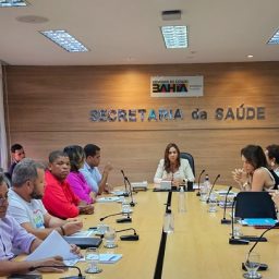 Bahia tem 13 municípios em epidemia de dengue, diz Sesab