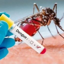 Três mortes por dengue são confirmadas e número de óbitos sobe para 12 na Bahia
