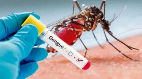 Bahia registra queda histórica nos casos de dengue em 2025, aponta Sesab