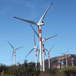 Bahia: Energia eólica produzida em 2023 é suficiente para beneficiar 223 milhões de residências