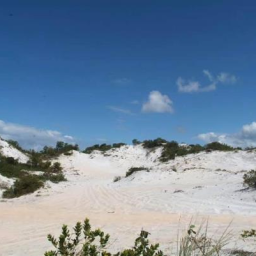 PF deflagra operação para combater extração ilegal de areia em Abrantes